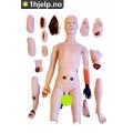 Full Functions Trauma Sykepleie Manikin